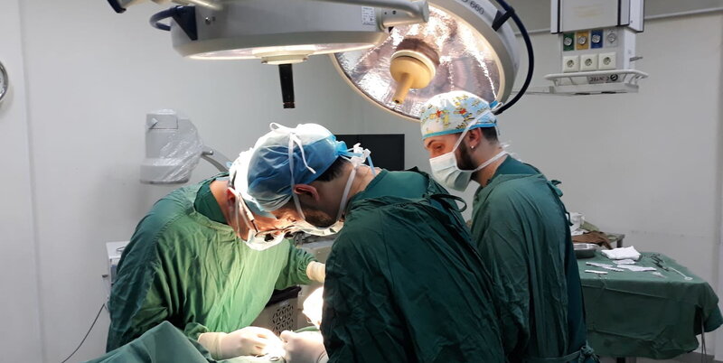 https://img.ospedalebambinogesu.it/images/2022/05/19/153310517-80673b89-c1f4-472d-a34a-e16bb5fe2f4a.jpg