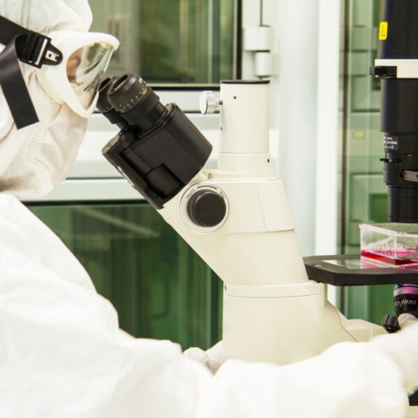 Neuroblastoma pubblicato Nature Medicine studio conferma sicurezza efficacia terapia CAR-T