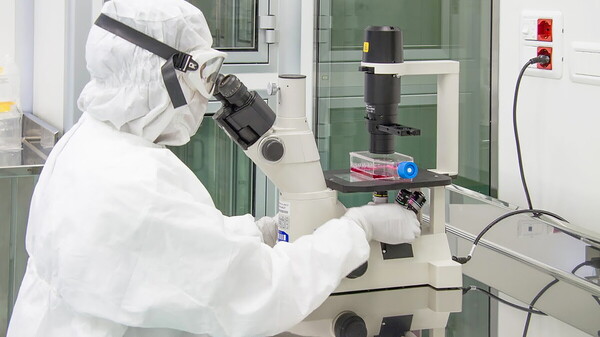 Nature Medicine studio dimostra efficacia cellule CAR-T malattie autoimmuni età pediatrica