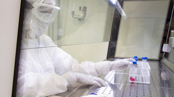 Nature Medicine studio dimostra efficacia cellule CAR-T malattie autoimmuni età pediatrica