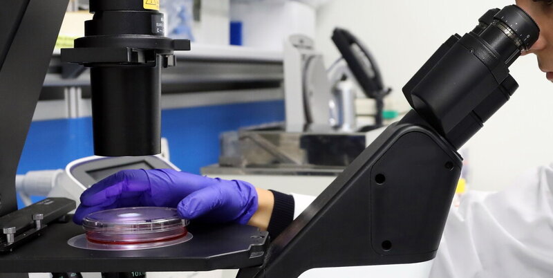 Nel sangue la molecola "spia" che predice il futuro di una rara malattia reumatologica dei bambini