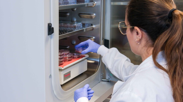 Cervello avatar studiare il tumore pediatrico