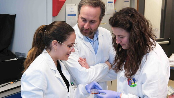 Tumori cerebrali sistema sperimentale 3D valutare possibili farmaci contro glioma