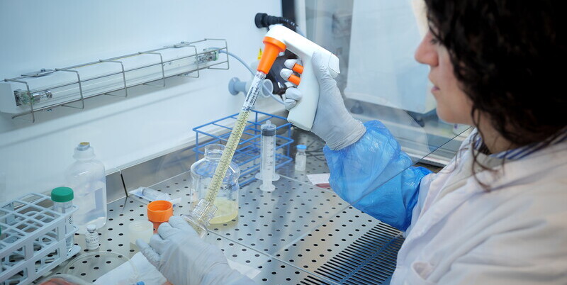 https://img.ospedalebambinogesu.it/images/2026/07/13/092748849-15f206d6-feee-4db8-830d-b78b05f699d1.jpg