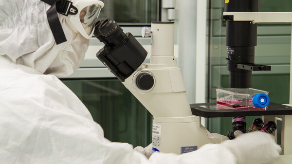 nuovo studio clinico terapia genica beta-talassemia trasfusione-dipendente