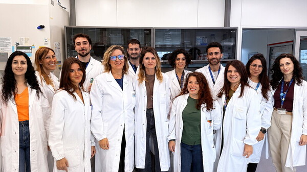 Cellule Natural Killer modificate geneticamente superare difese tumori