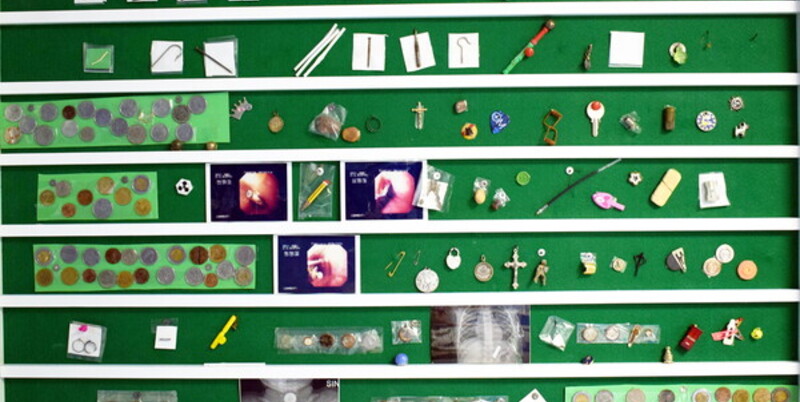 https://img.ospedalebambinogesu.it/images/2026/08/11/094752118-ab874e24-78fc-4d6e-b4e8-9e66c013f16b.jpg