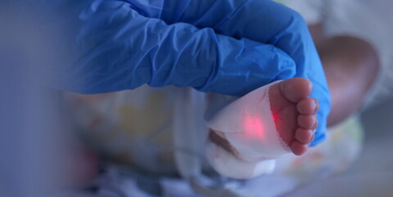 https://img.ospedalebambinogesu.it/images/2026/09/23/130625764-10796e9a-b48c-4b72-83ce-378b649fd7d7.jpg